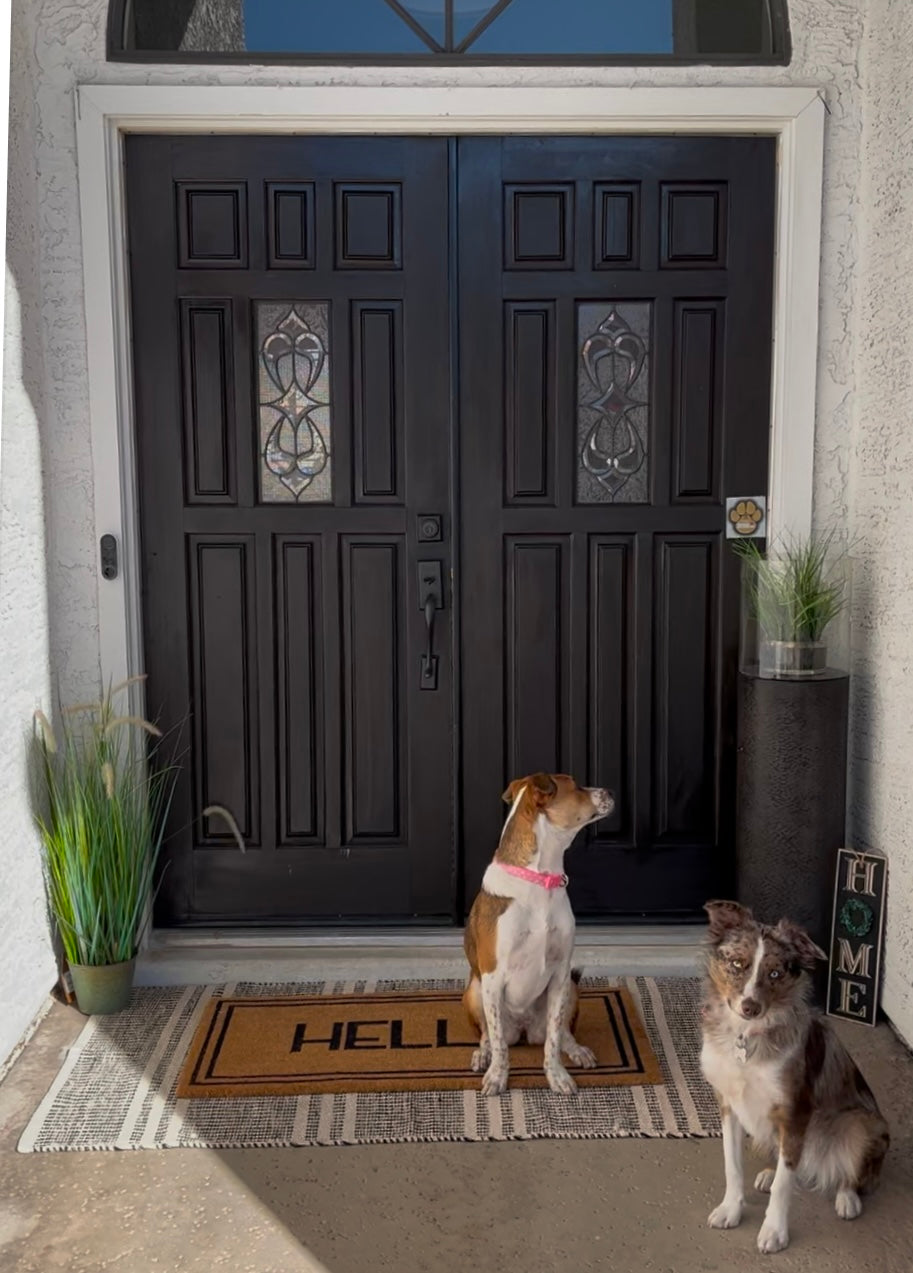 Rescue+Retriever Two Pack Decal