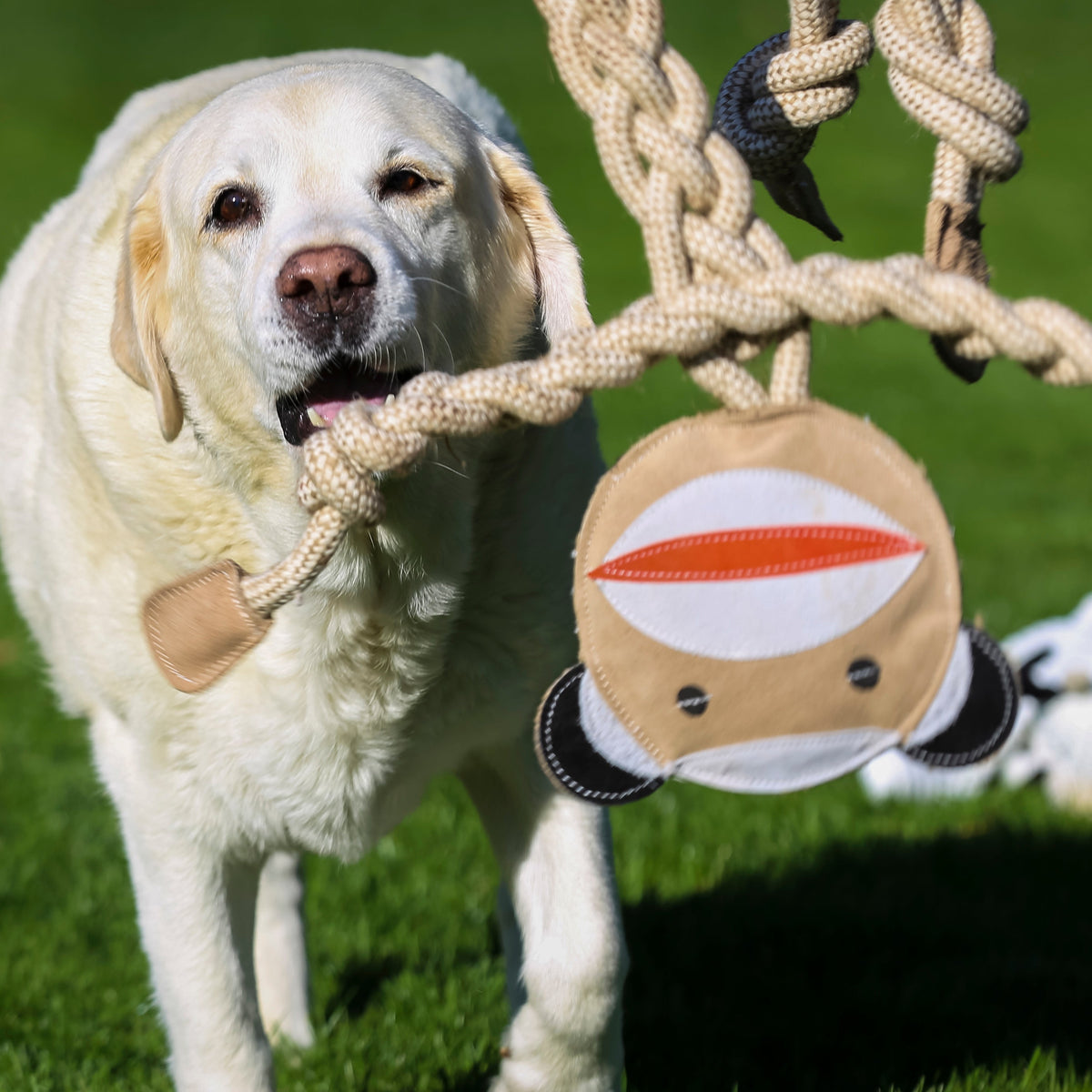 Stuey Sock Monkey Natural Rope Knottie® Dog Toy, Large (9mm rope diameter)