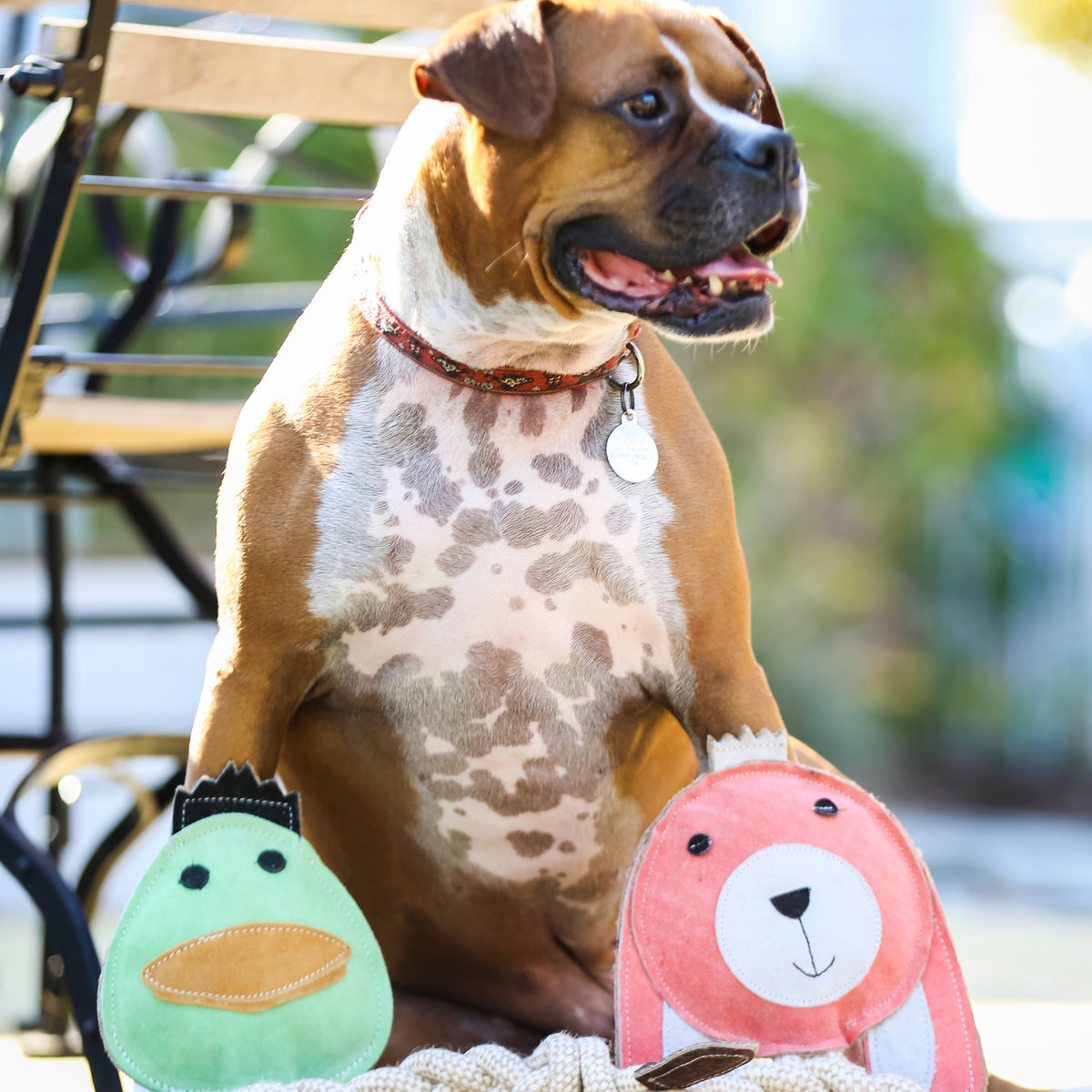 Dilly Duck Natural Rope Knottie® Dog Toy, Large (9mm diameter)