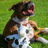 Dottie Cow Knottie® Plush Dog Toy