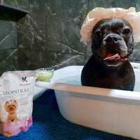 Cleopatra's Doggy Milk Bath