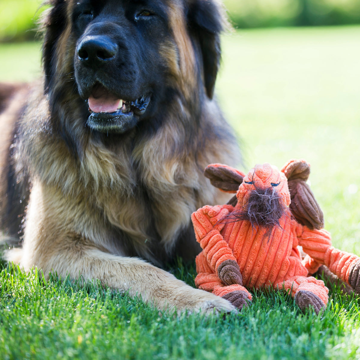 Morris Moose Knottie® Plush Dog Toy