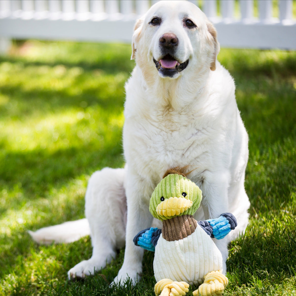 Dilly Duck Knottie® Plush Dog Toy