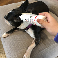 Instant Ear Cleaner For Dogs 4 oz or 12 oz - Removes Wax and Odor