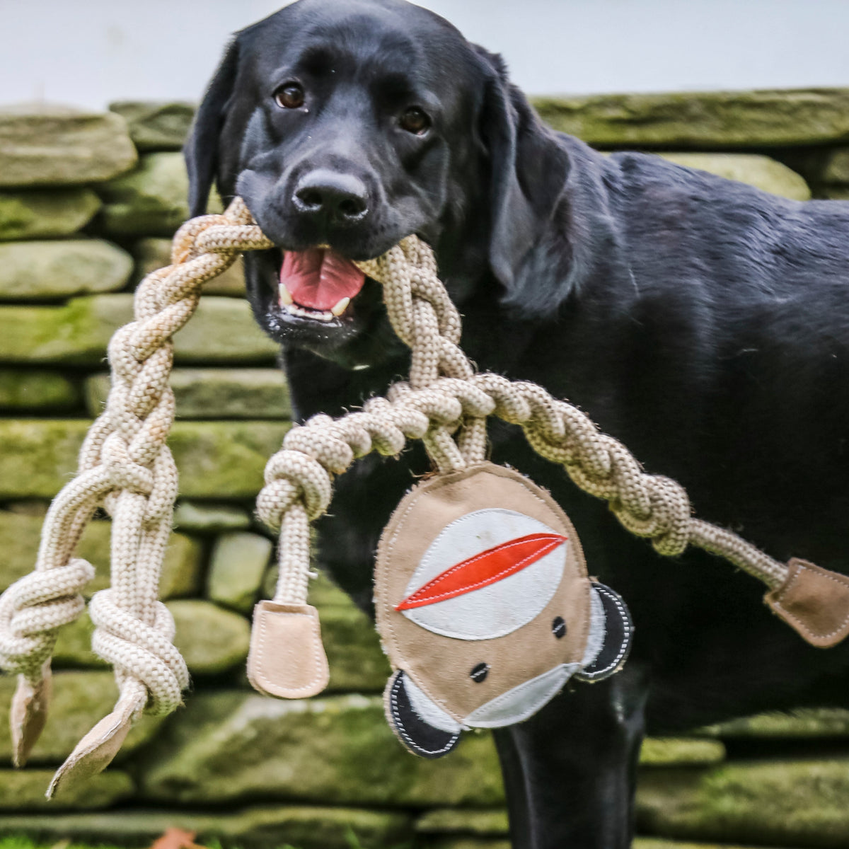 Natural Rope Knottie® Dog Toys, 3 Pack, XL (16mm rope diameter)