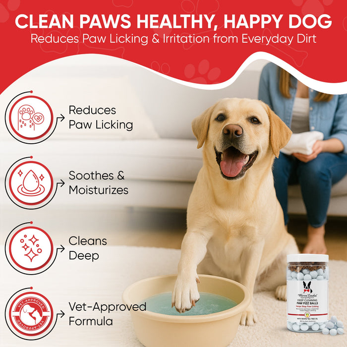 Deep Cleaning Paw Fizz Balls - Professional Size