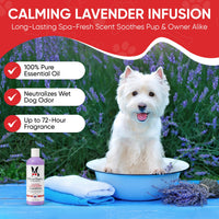 Calming Lavender Dog Shampoo w/Aloe Vera & Essential Oils - Professional Size