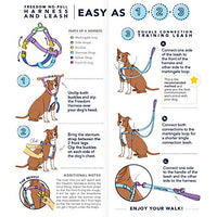 Cherry Blossoms Double Connection Leashes – EarthStyle