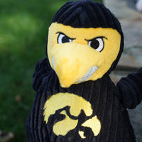 NCAA University of Iowa - Herky the Hawk Knottie® Plush Dog Toy