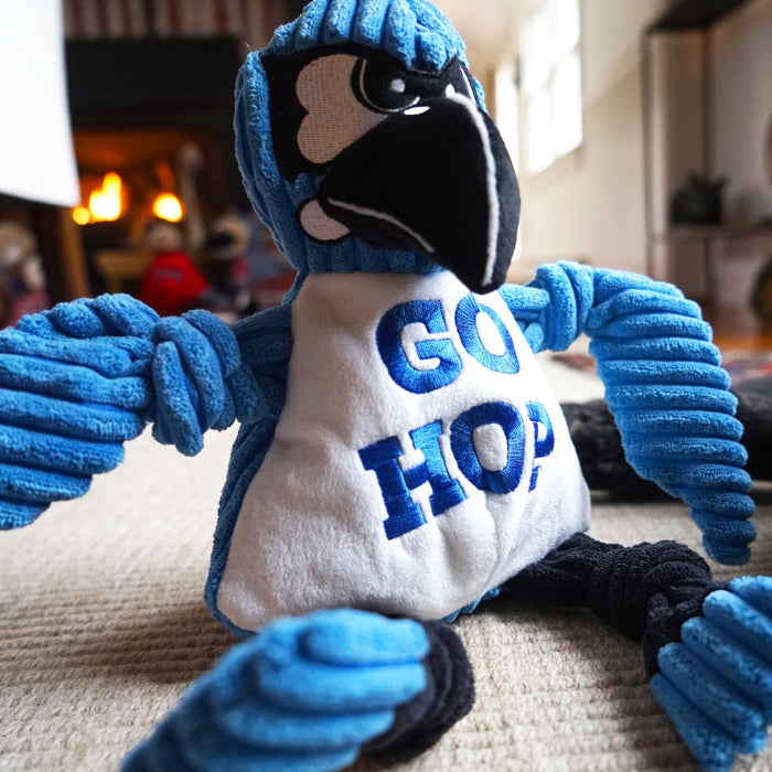 NCAA Mascot Johns Hopkins University, Jay the Blue Jay Knottie® Plush Dog Toy