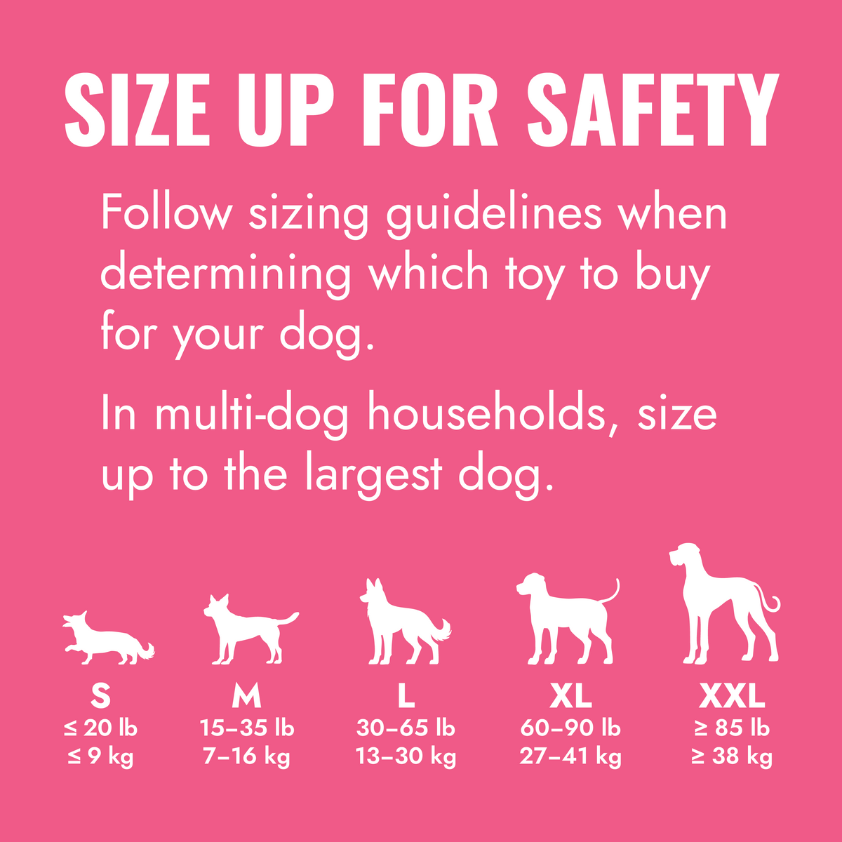 KONG Puppy