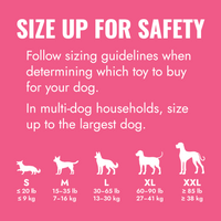 KONG Puppy