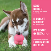 KONG Puppy