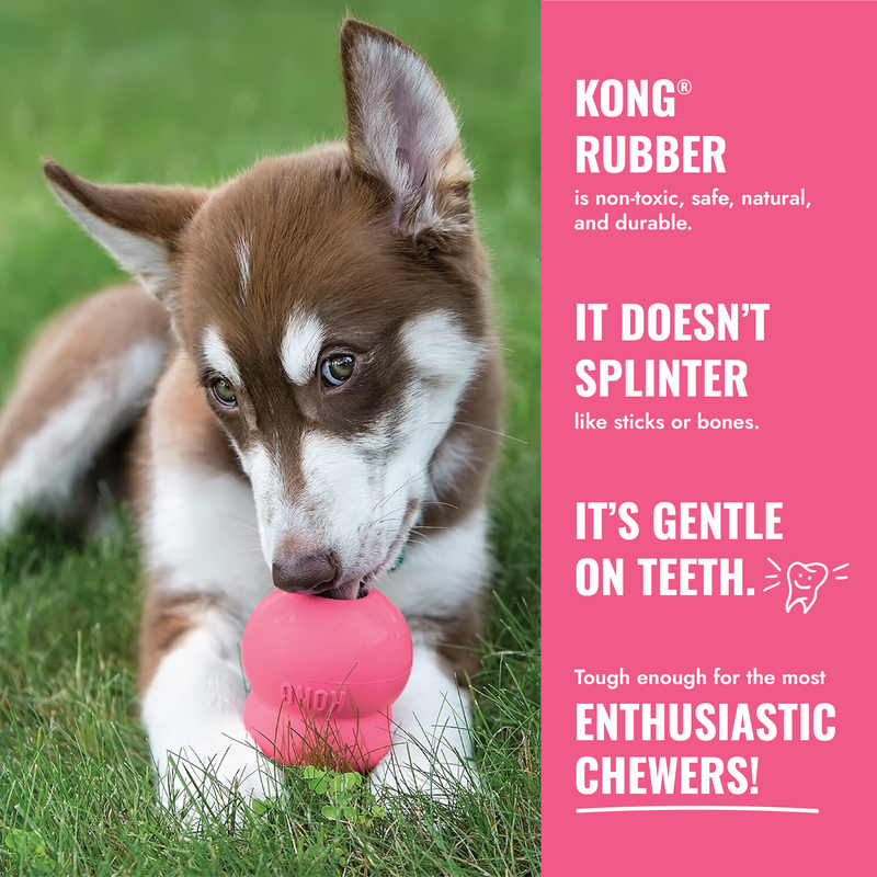 KONG Puppy
