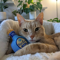 Kitty Loco Tequila Plush Cat Toy