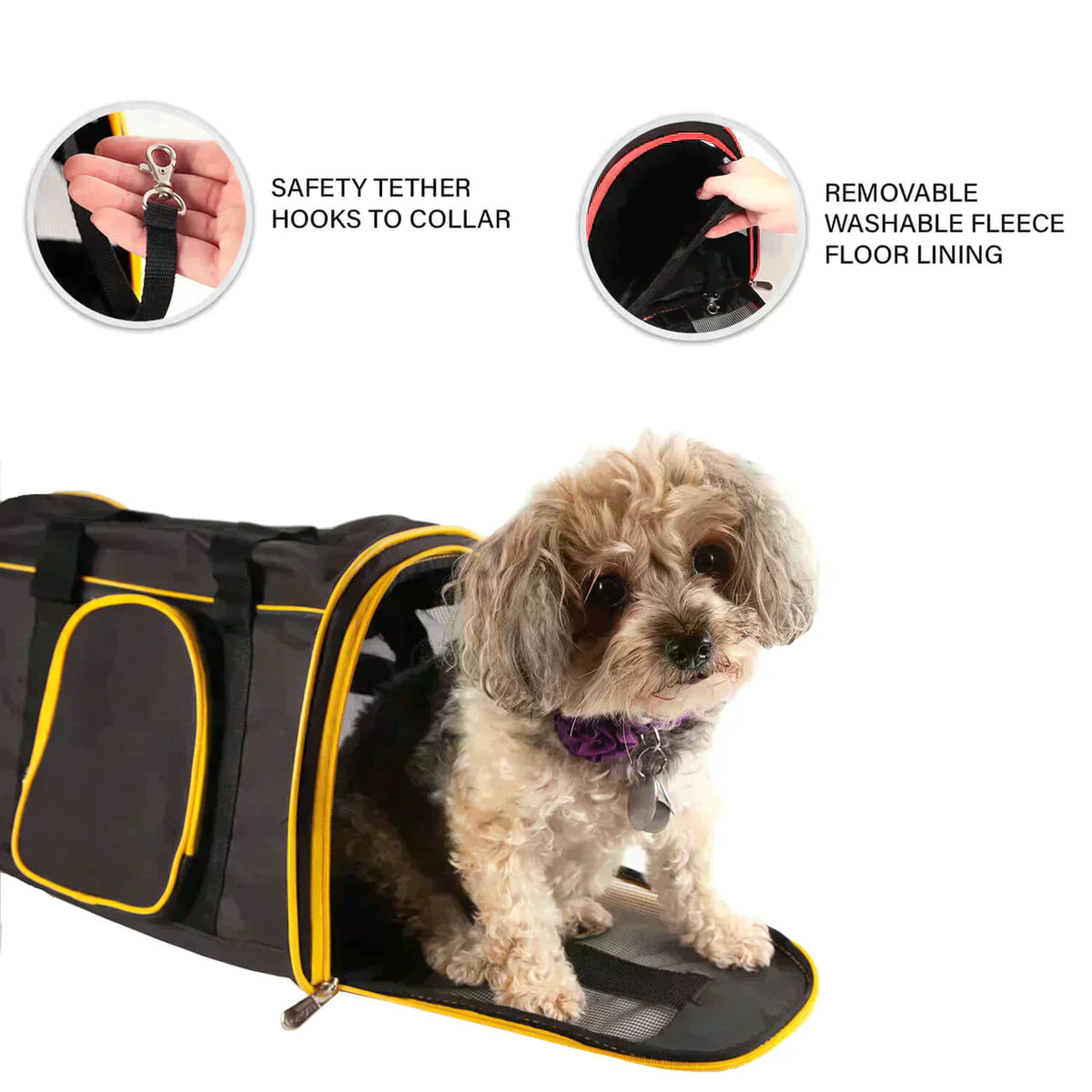 Washington Commanders 16" Premium Pet Carrier