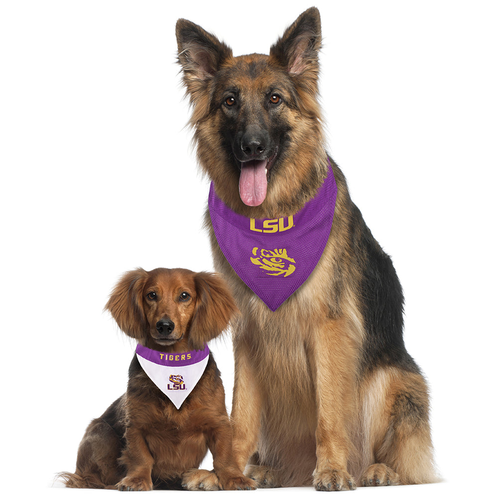 Lsu store dog bandana