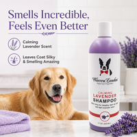 Calming Lavender Dog Shampoo w/Aloe Vera & Essential Oils