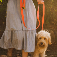 Body Glove Waterproof Collar - 4 Colors