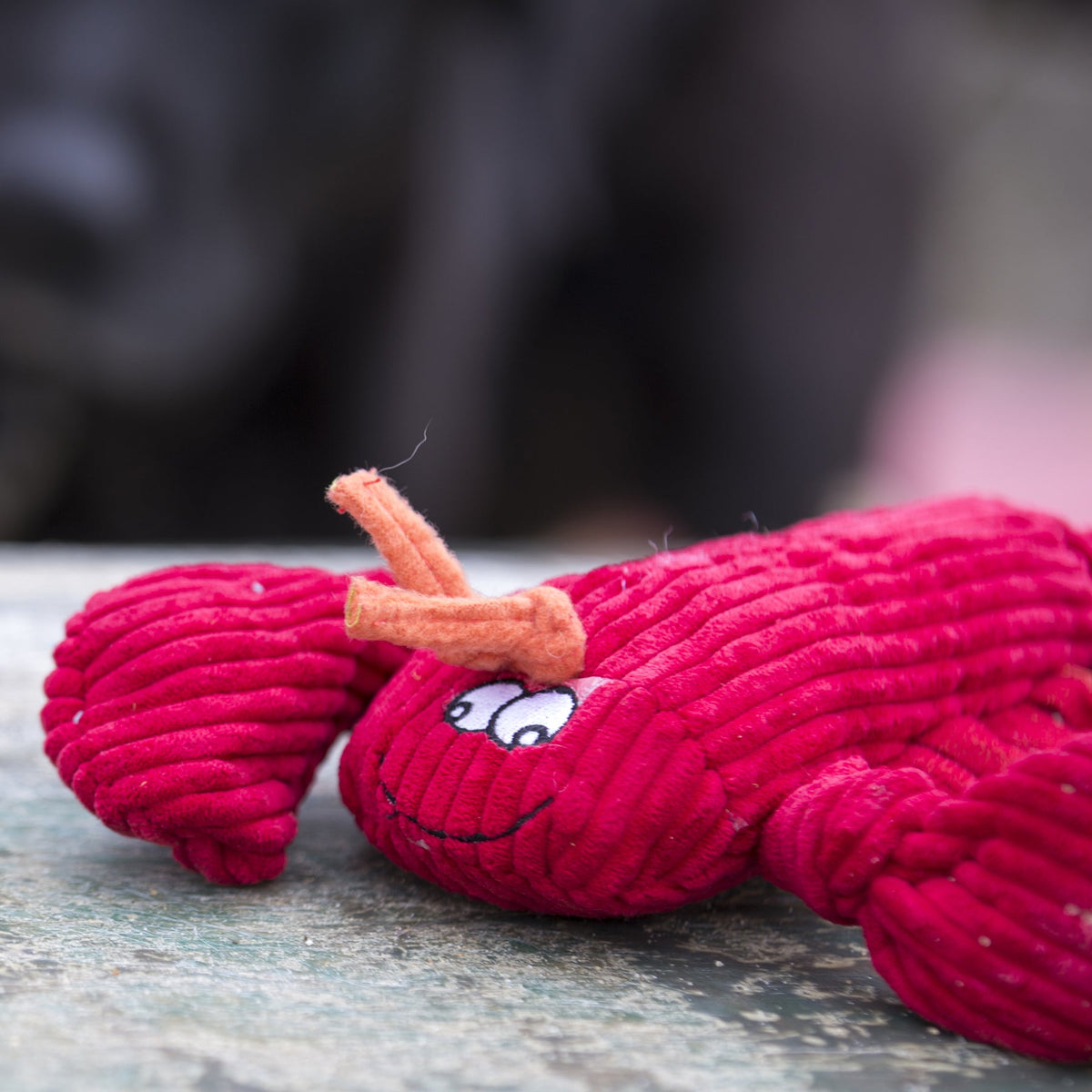 McCracken Lobsta™ Knottie® Plush Dog Toy