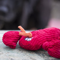 McCracken Lobsta™ Knottie® Plush Dog Toy