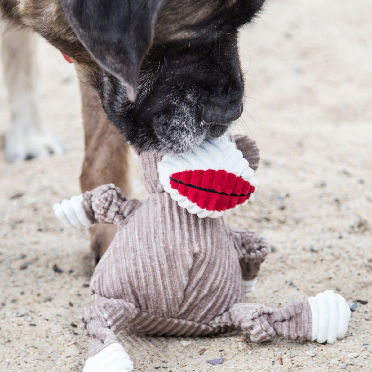 Stuey Sock Monkey Knottie®  Plush Dog Toy