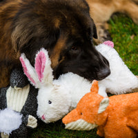 Squooshie™ Bunny Plush Dog Toy