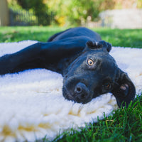 HuggleFleece® Mat Cat & Dog Bed