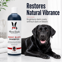 Magic Black Brightening Dog Shampoo - Professional Size
