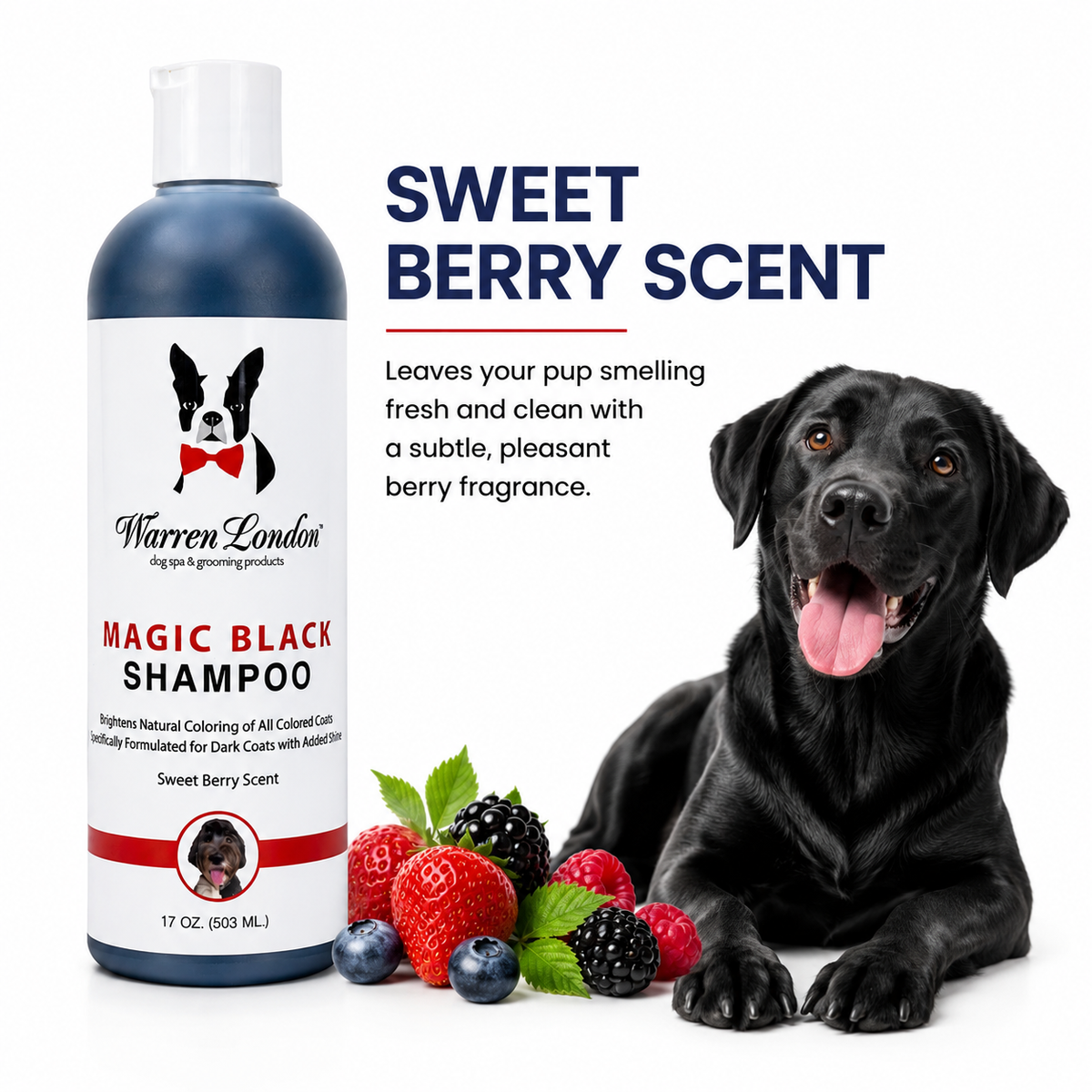 Magic Black Brightening Dog Shampoo - Professional Size