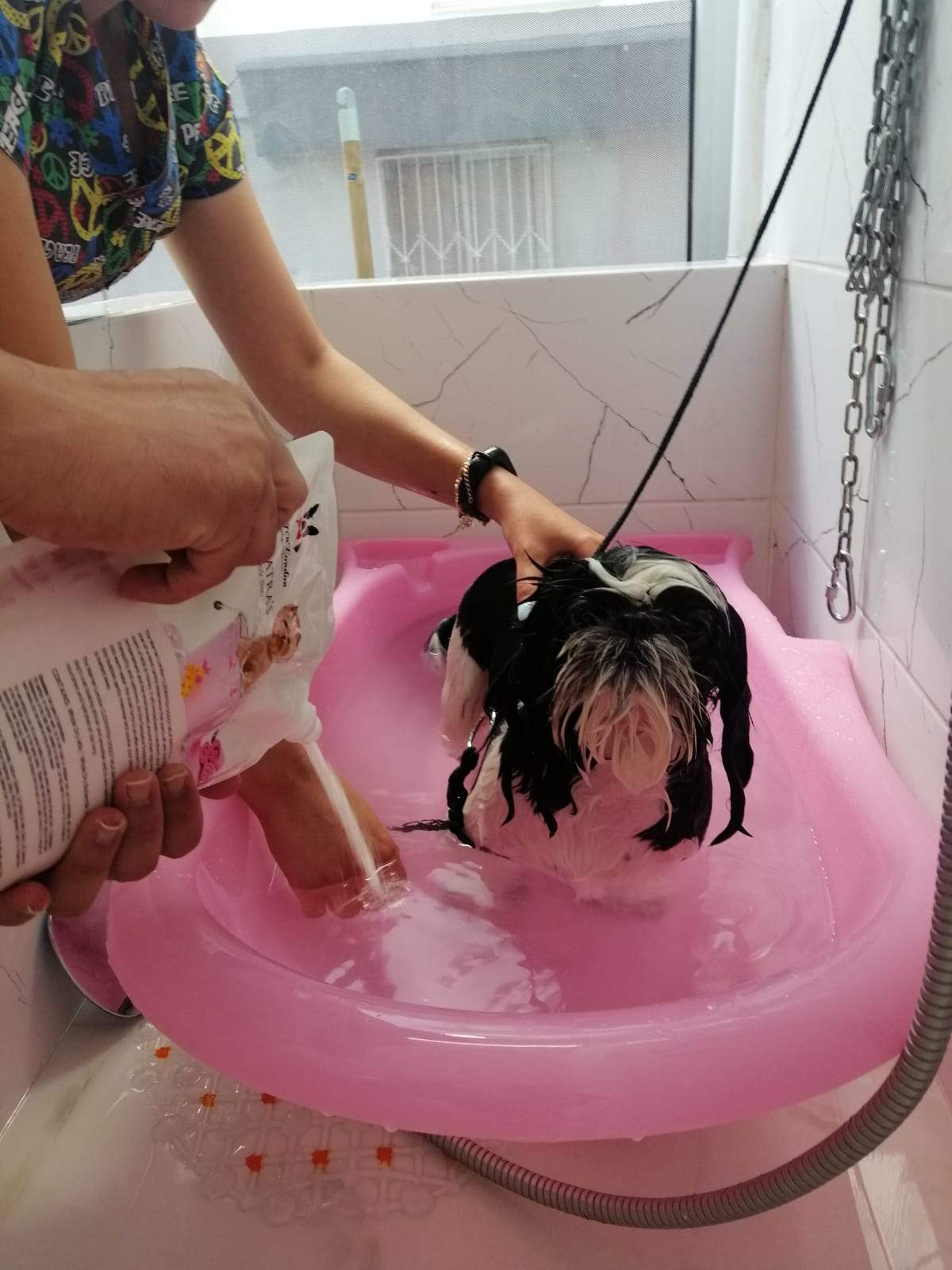 Cleopatra's Doggy Milk Bath