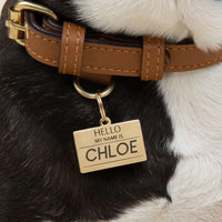 Hello My Name is Pet ID Tag - Gold