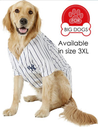 New York Yankees Dog Jersey - Pinstripe