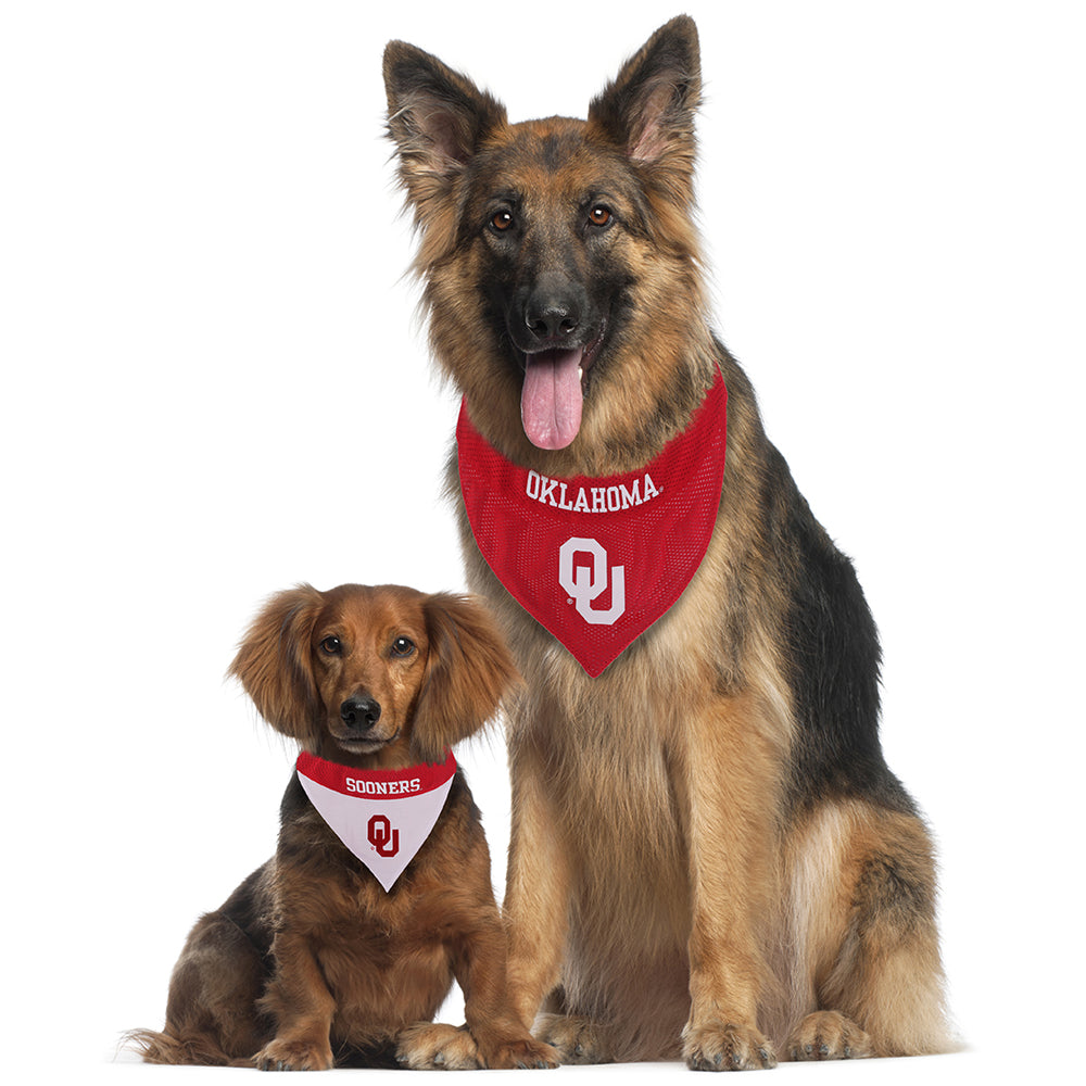 Oklahoma sooners dog sales jersey