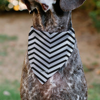 Pet Bandana - BARBIE Script Heart Chevron White/Black/Pinks