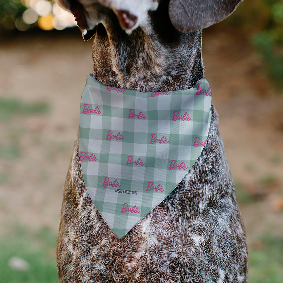 Pet Bandana - BARBIE Script Plaid Beige/Olive/Pink
