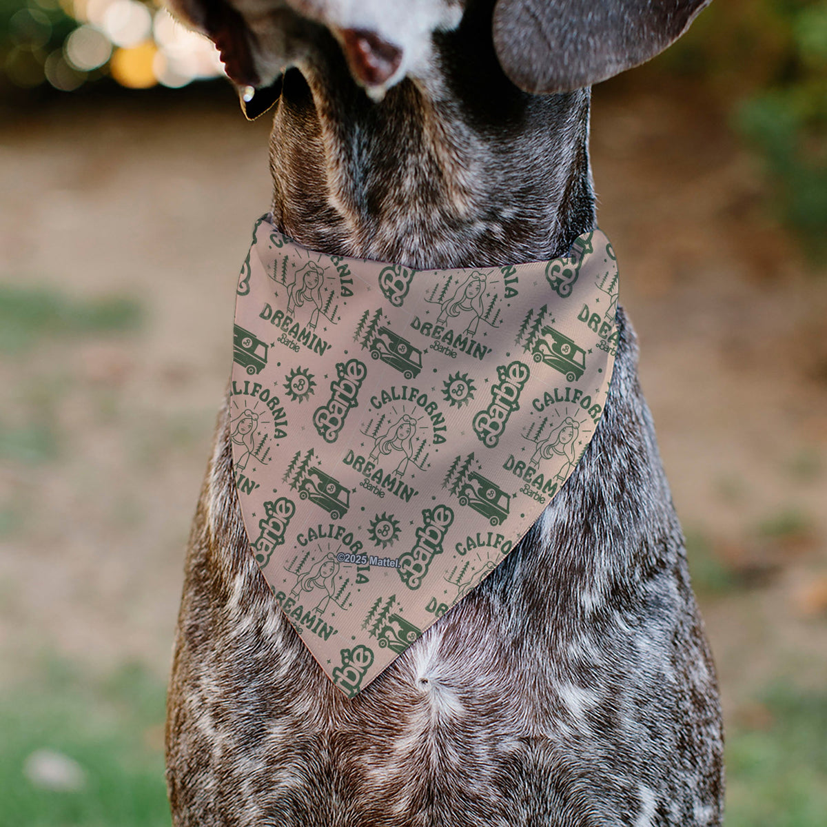 Pet Bandana - CALIFORNIA DREAMIN BARBIE Icons Collage and Script Peach/Olive