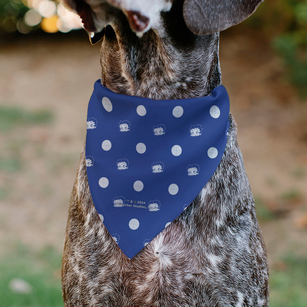 Pet Bandana - Bandana Betty Boop USA Heart Pose Polka Dot/Face Blue/White