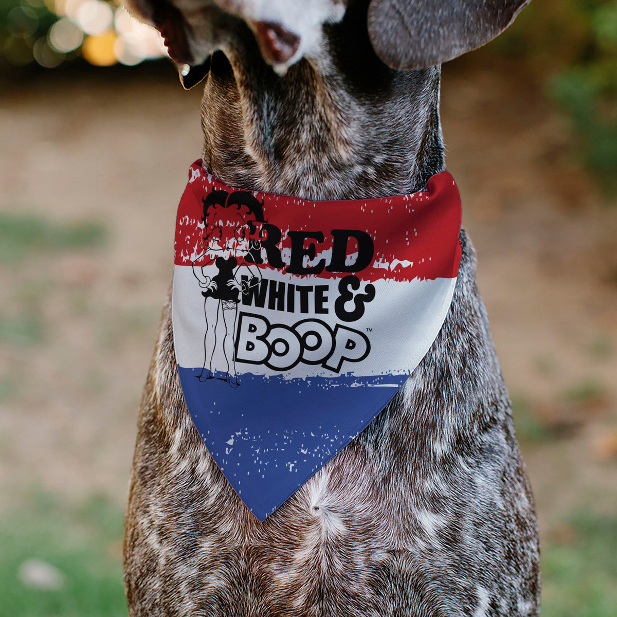 Pet Bandana - Bandana Betty Boop RED WHITE & BOOP Pose Americana Stripe Red/White/Blue/Black