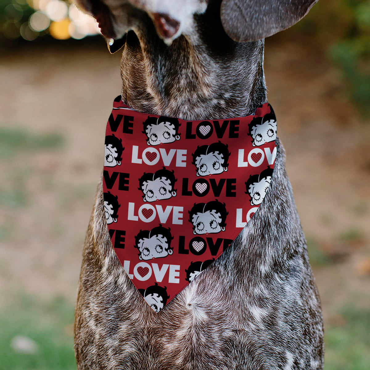 Pet Bandana - Betty Boop LOVE Text and Face Red/Black/White