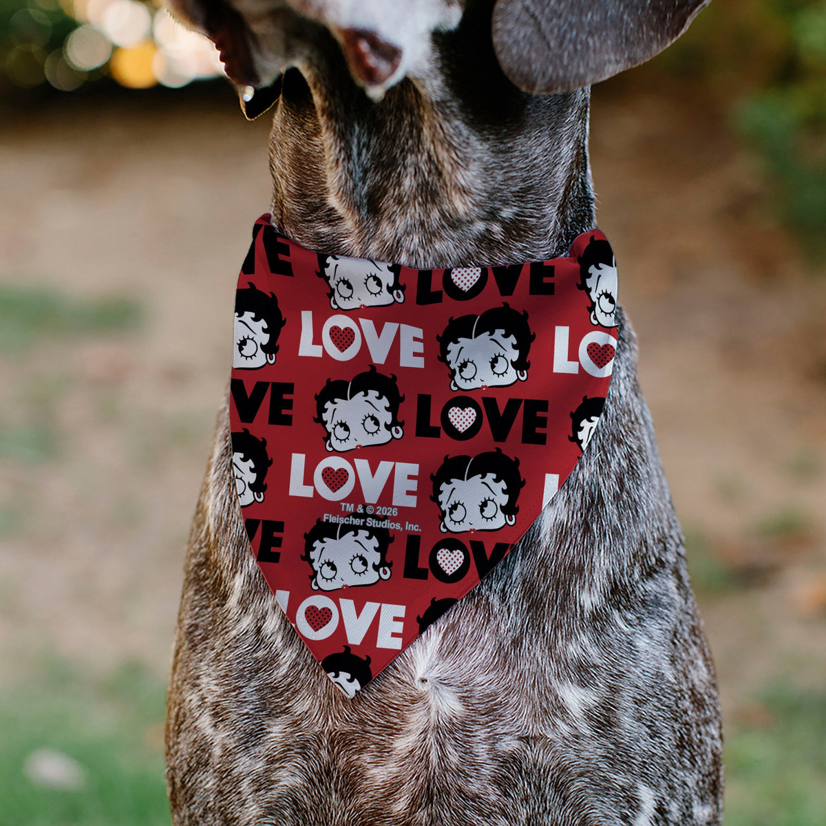 Pet Bandana - Betty Boop LOVE Text and Face Red/Black/White