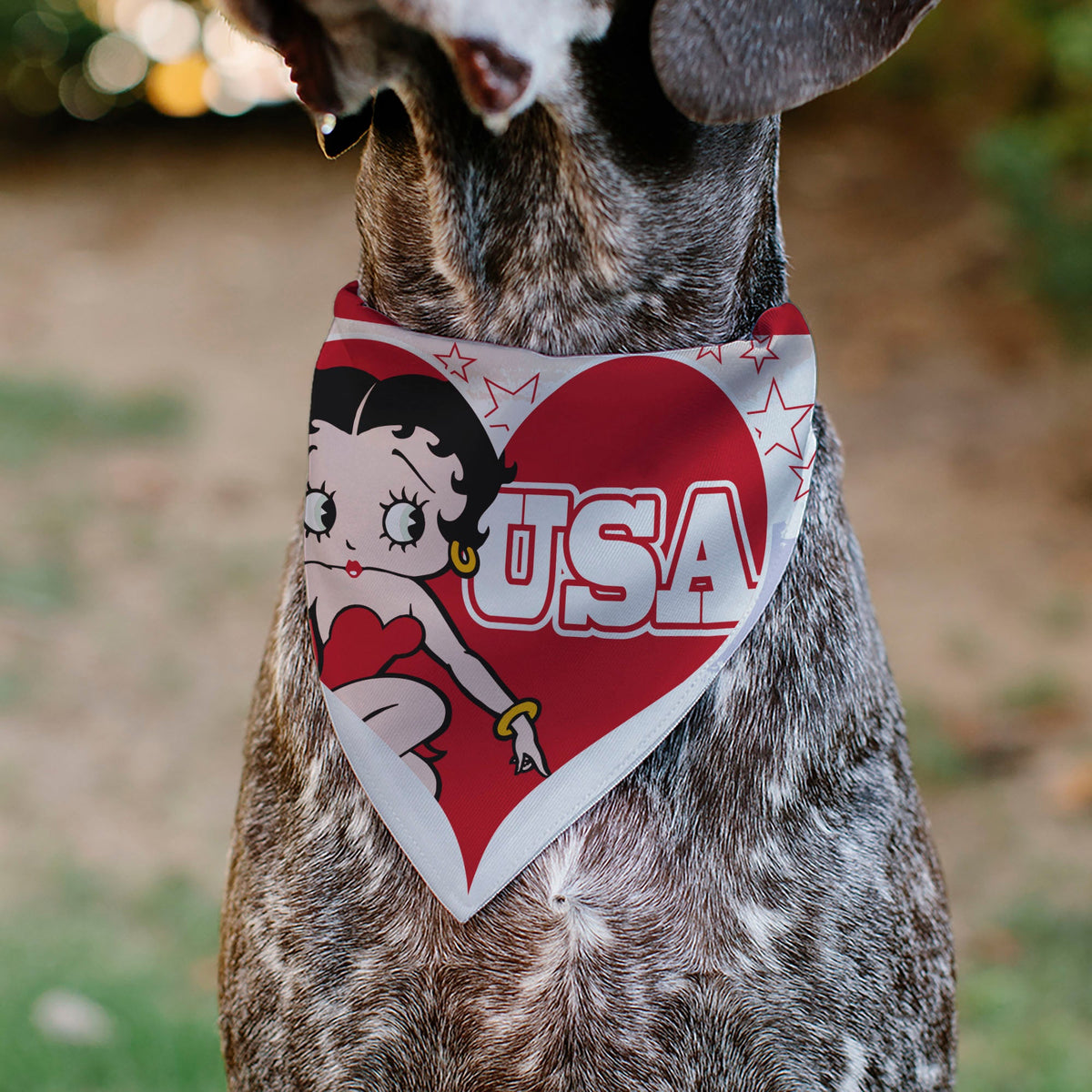 Pet Bandana - Betty Boop USA Heart Pose and Stars White/Red