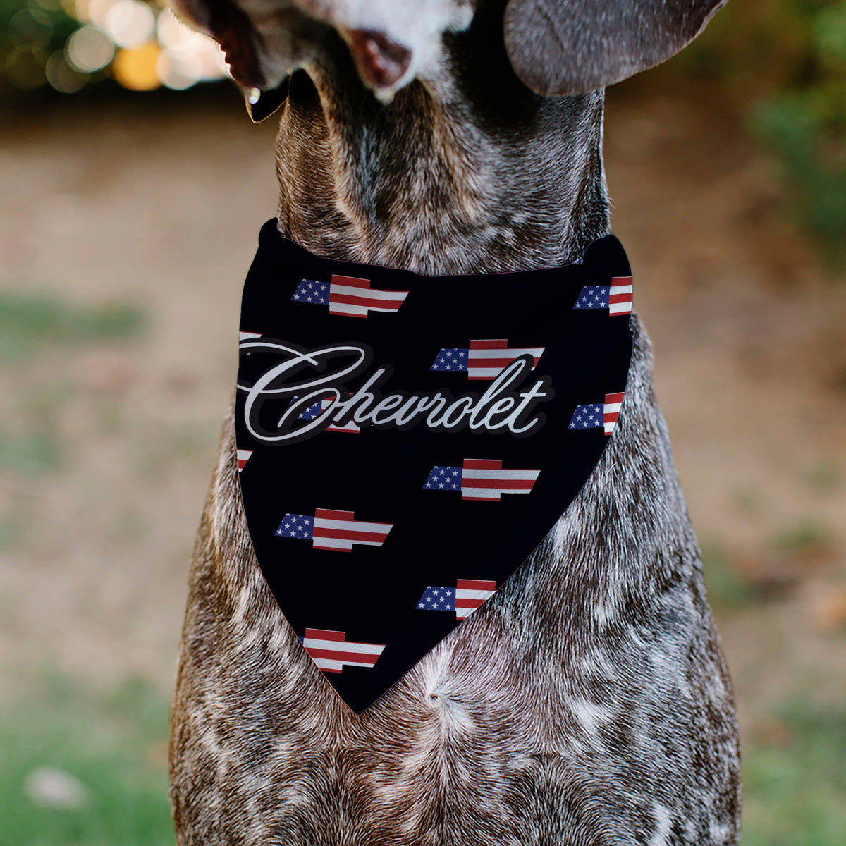 Pet Bandana - CHEVROLET Script and Americana Bowtie Repeat Black