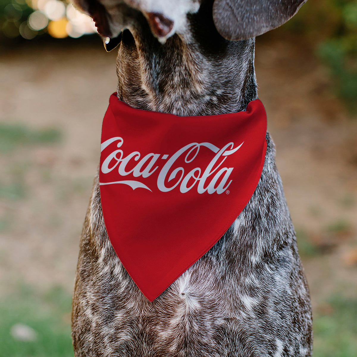 Pet Bandana - COCA-COLA Script Logo Centered Red/White