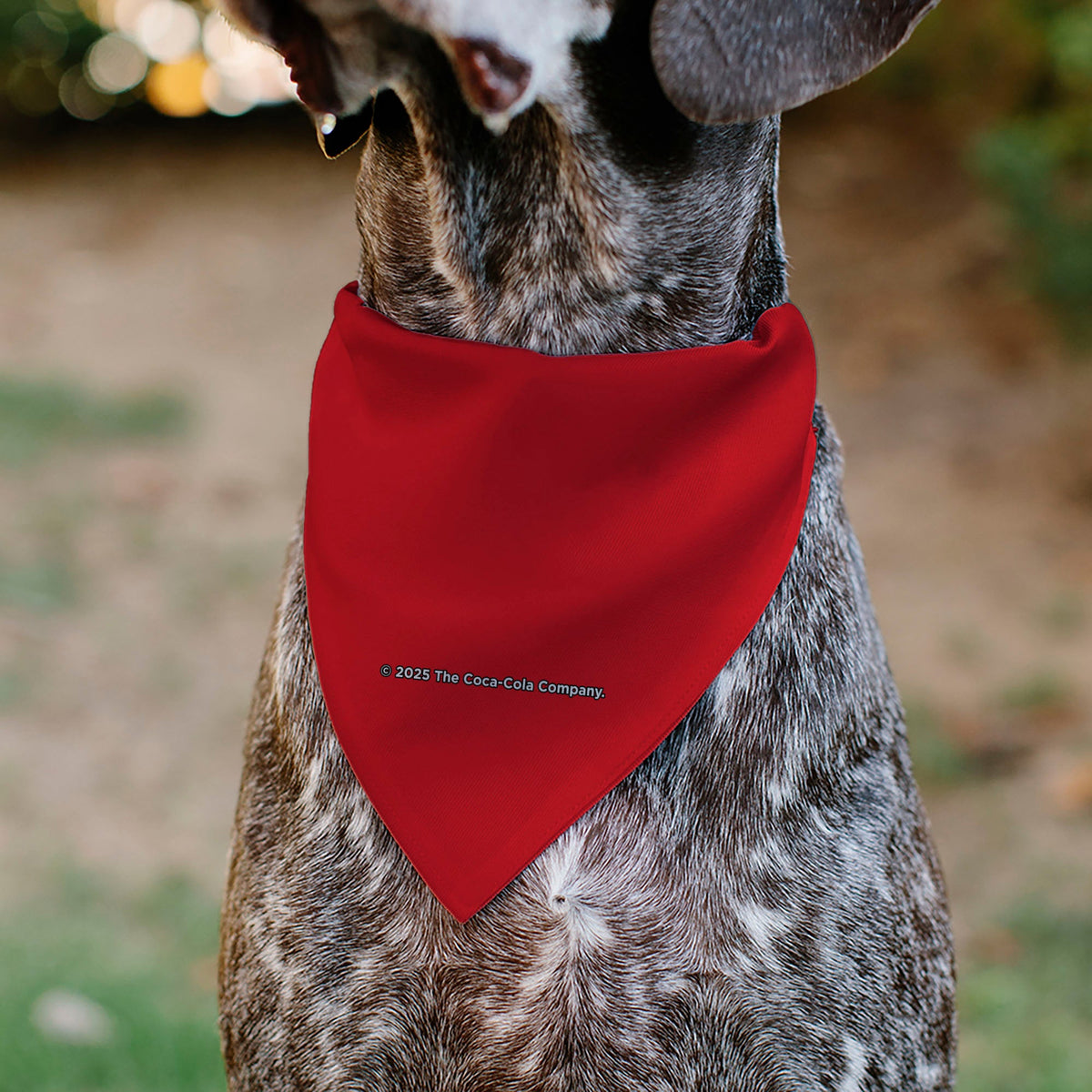 Pet Bandana - COCA-COLA Script Logo Centered Red/White