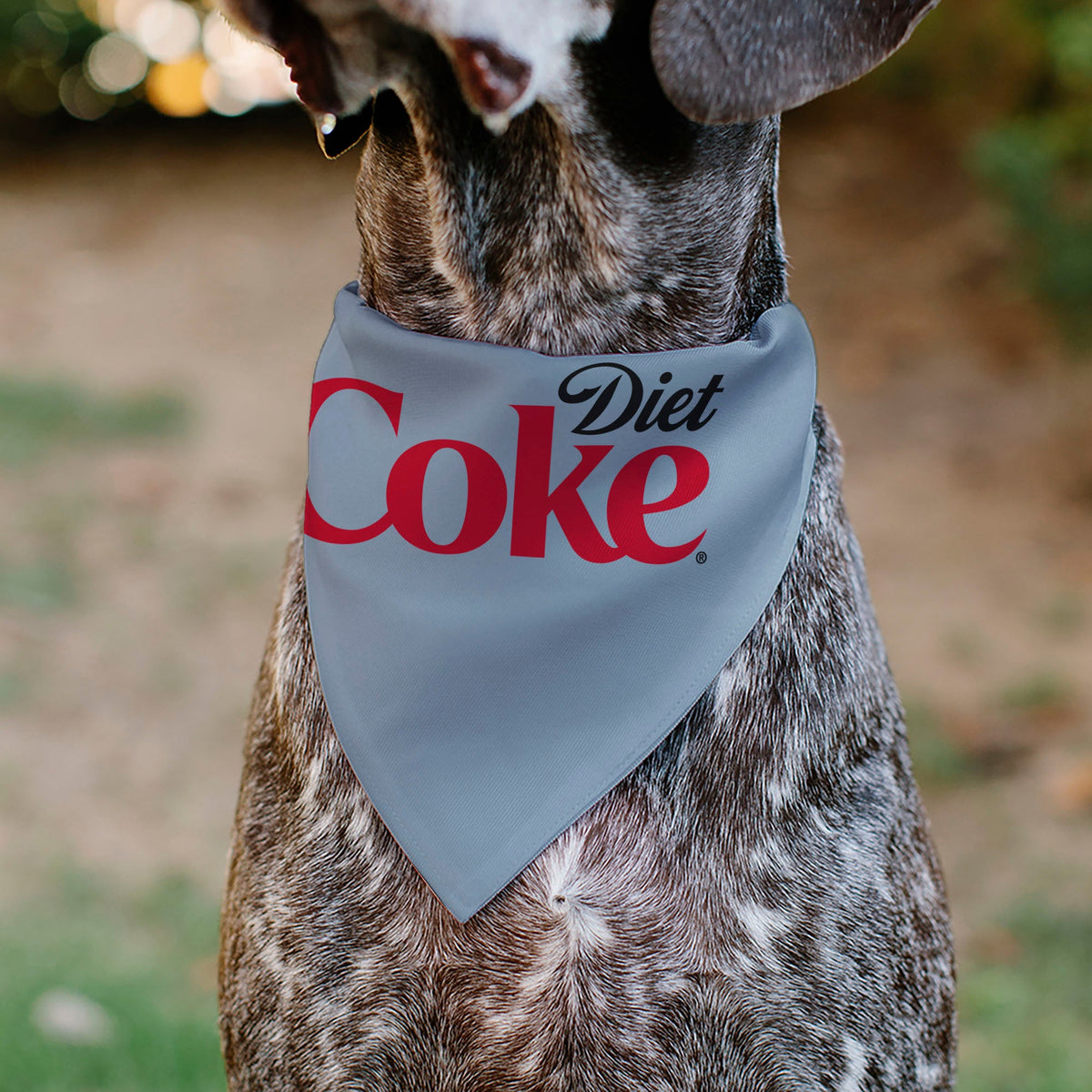 Pet Bandana - DIET COKE Logo Gray/Black/Red