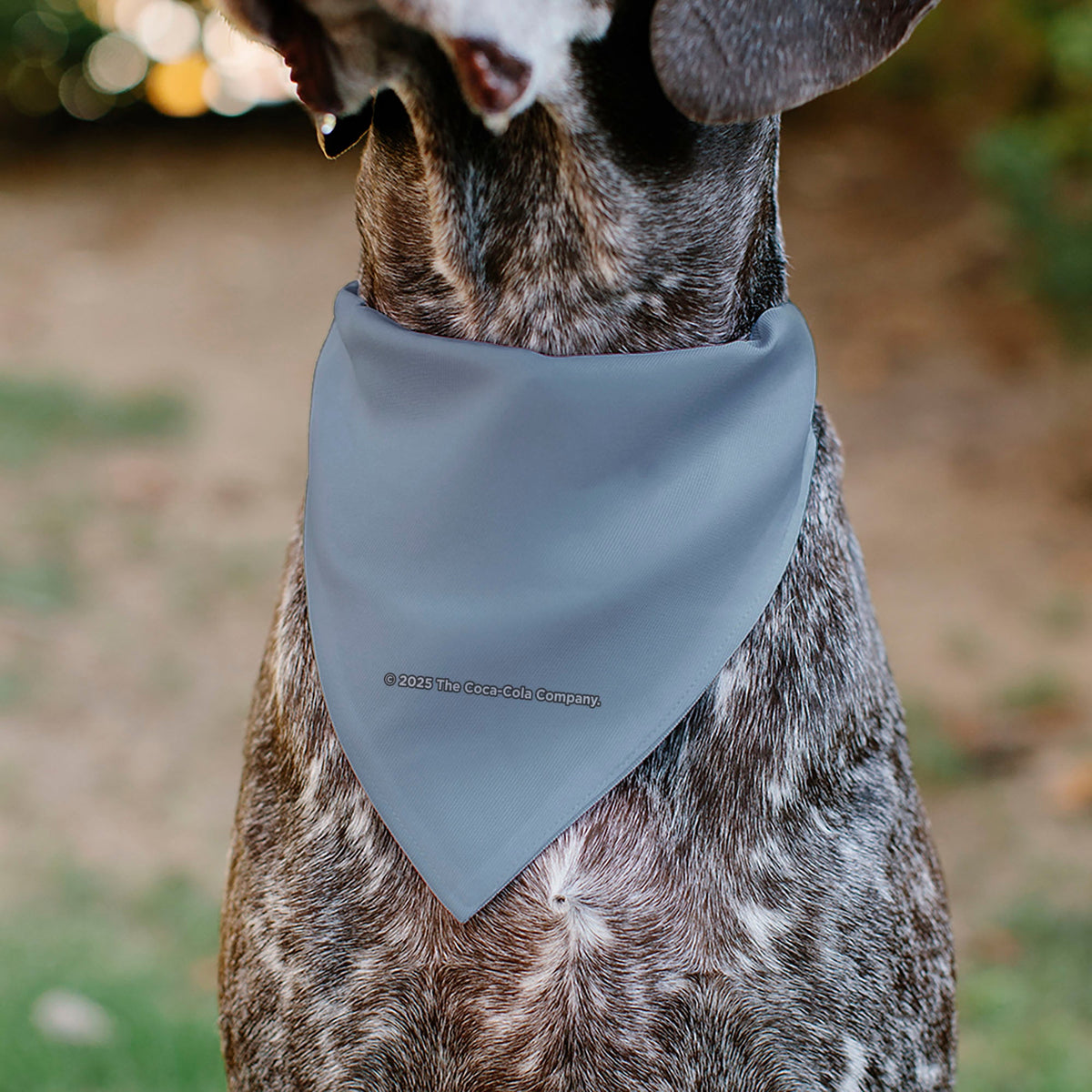 Pet Bandana - DIET COKE Logo Gray/Black/Red