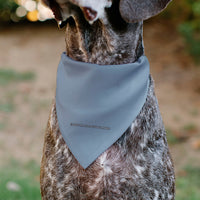 Pet Bandana - DIET COKE Logo Gray/Black/Red