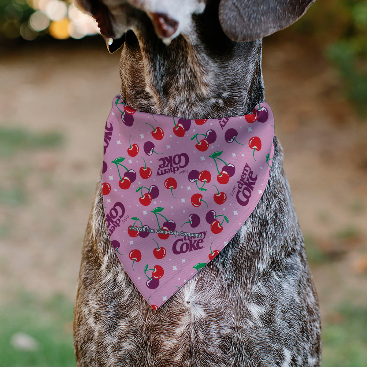 Pet Bandana - CHERRY COKE Cherries and Logo Scattered Pink