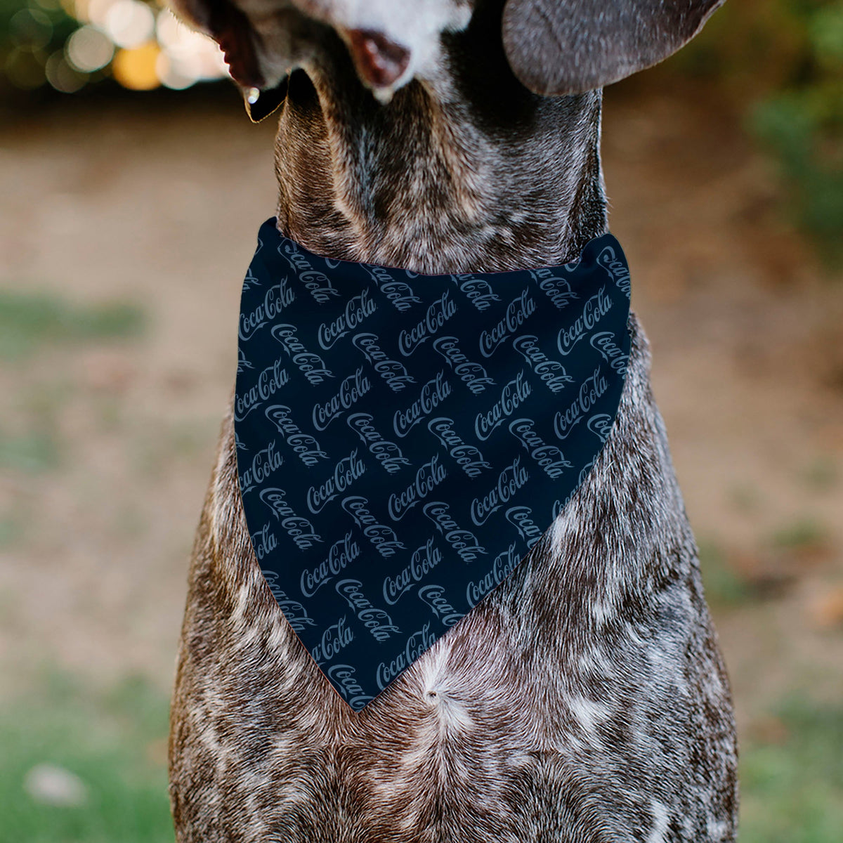 Pet Bandana - COCA-COLA Script Collage Navy/Light Blue